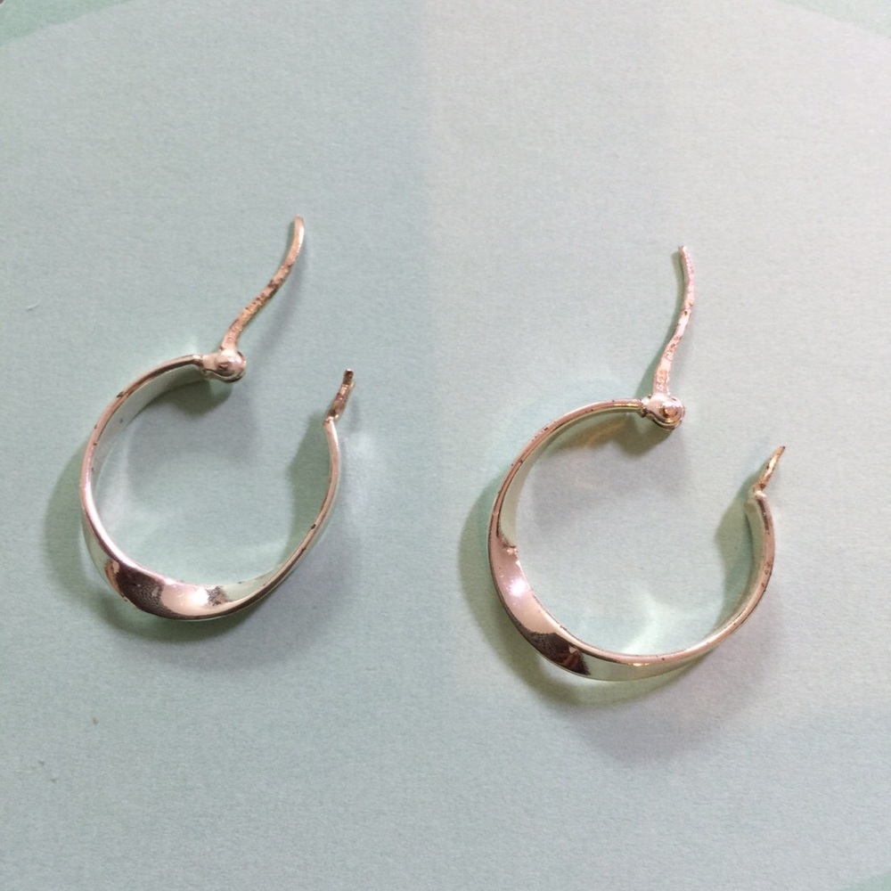 Steering silver earrings